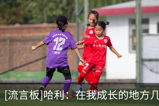 [流言板]哈利：在我成长的地方几乎没人打进NBA，我对现在心存感激